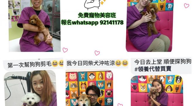 免費寵物美容証書課程 – www.arc.org.hk