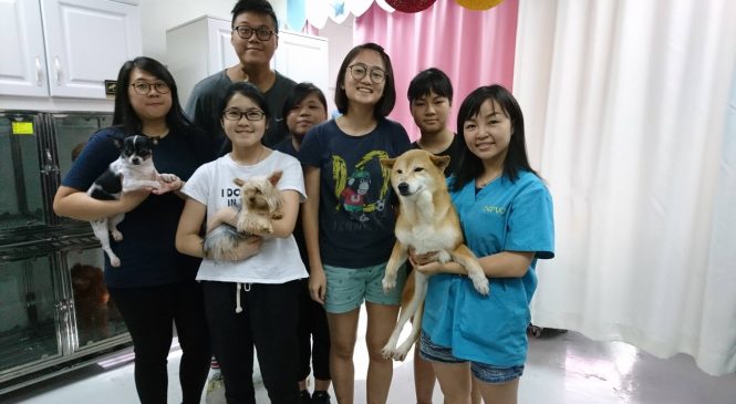 浸信會愛羣社會服務處灣仔綜合兒童及青少年服務中心 – 體驗幫助被遺棄動物之義工活動2018