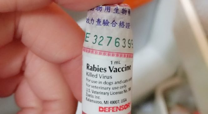 「狗狗疫苗,你都知道了嗎?」