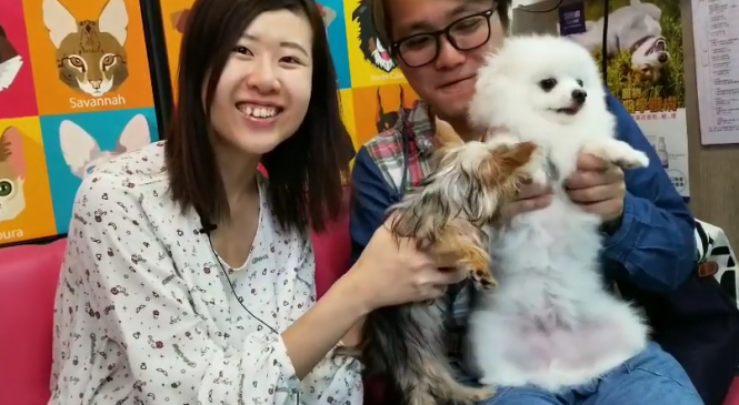 成功領養約瑟爹利芝麻醬
