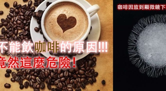 狗狗不能飲咖啡的原因!!!竟然這麼危險!