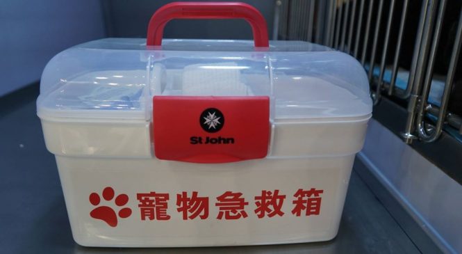 19種家居必備狗狗急救用品【寵物急救箱】的常用藥品!!!