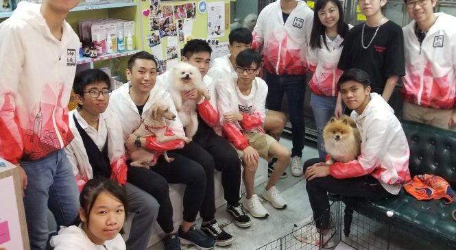 動物福利的原則 – 五大自由 – 亞洲非牟利動物救援有限公司 – Asia Non-profit Animal Rescue Co., Limited.
