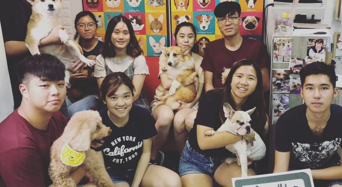 【香港科技大學學生會 科大扶輪青年服務團@ARC 義工體驗日】